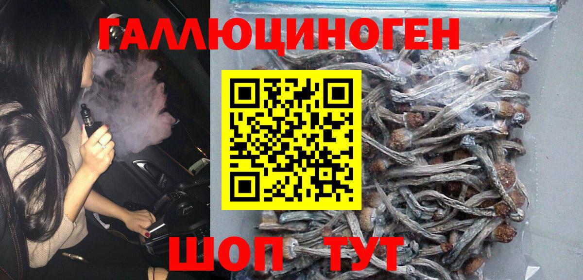 Псилоцибиновые грибы мицелий Нововоронеж