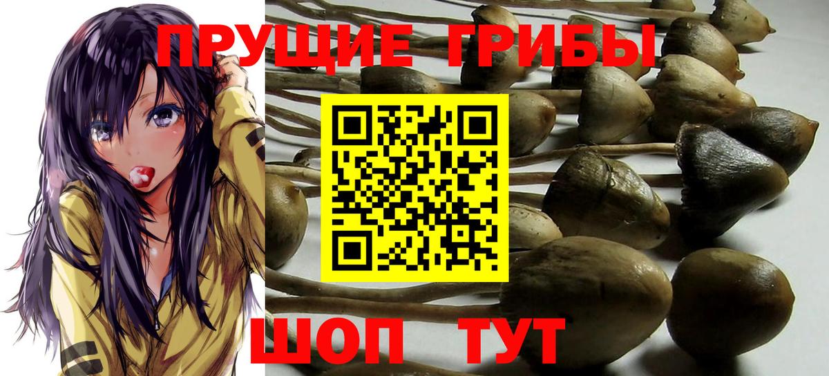 Нововоронеж  наркота  Вход с VPN  Галлюциногенные грибы мицелий 
